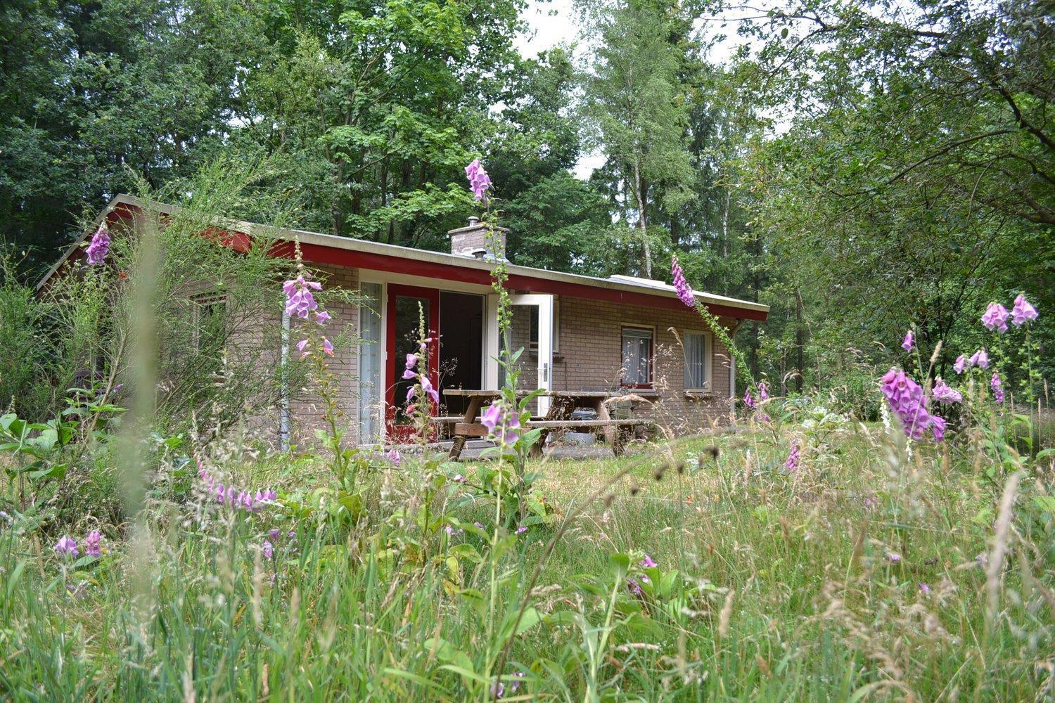 Veluwe Hotel Stakenberg Elspeet Camera foto